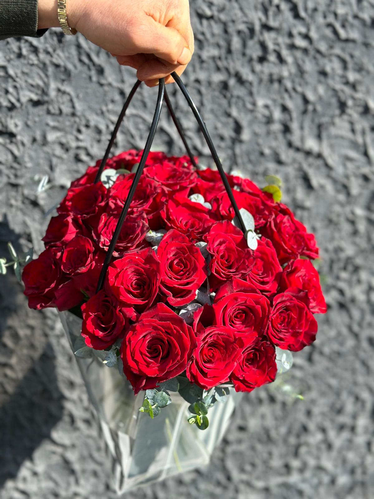 Red Rose (Kırmızı Gül)