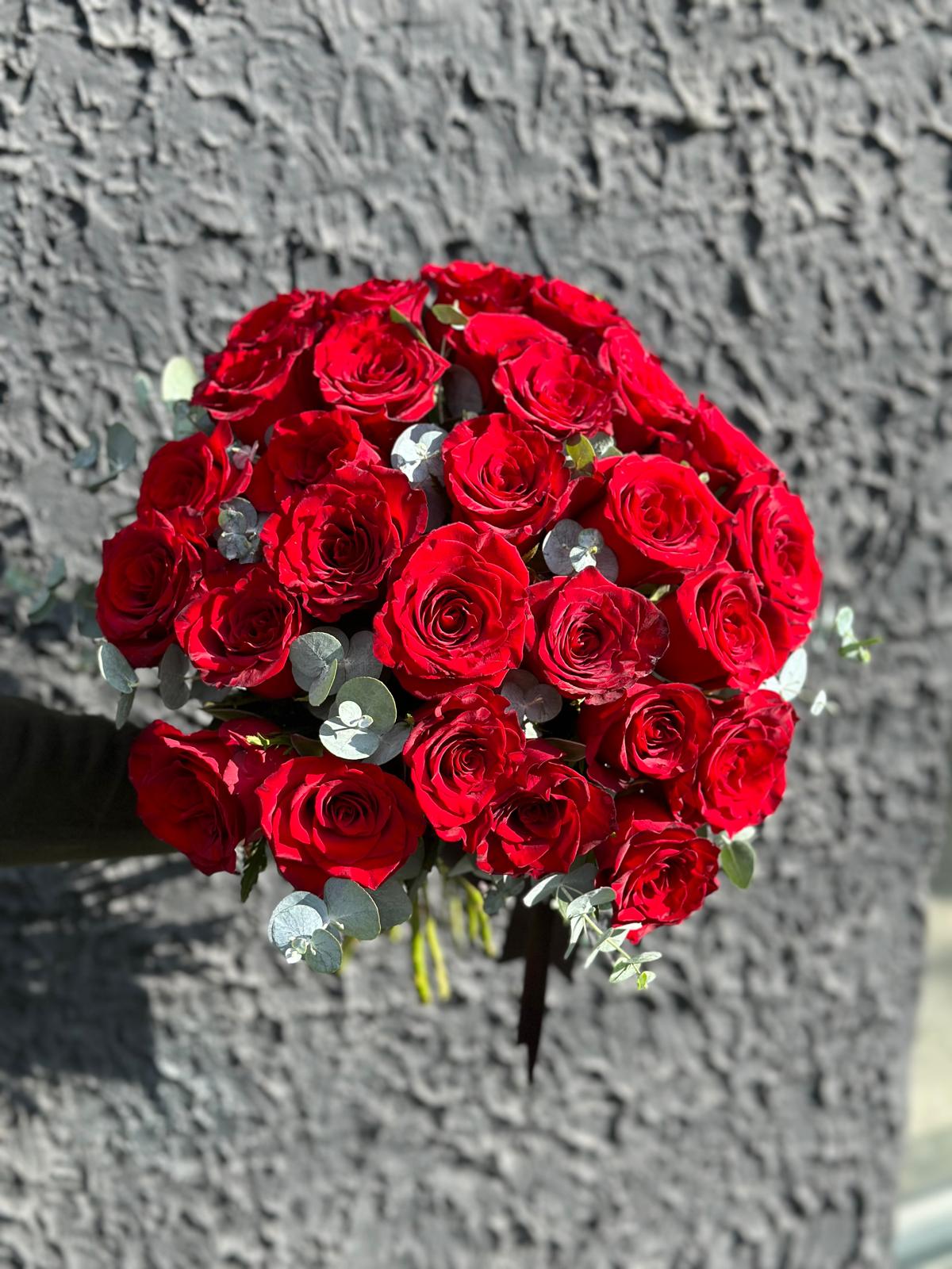 Red Rose (Kırmızı Gül)