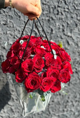 Red Rose (Kırmızı Gül)