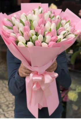 White&Pink Tulips 101