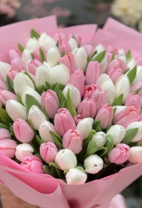 White&Pink Tulips 101